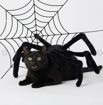 Halloween Spider Costume