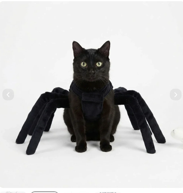 Halloween Spider Costume