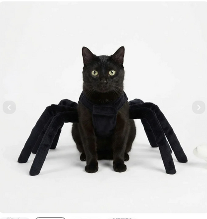 Halloween Spider Costume