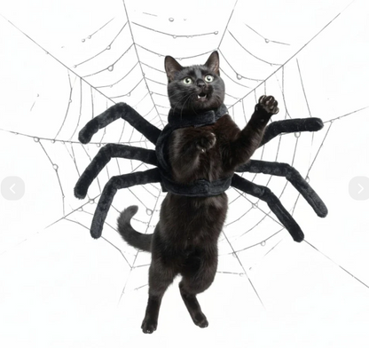 Halloween Spider Costume
